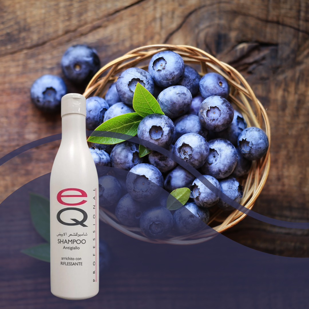 Shampoo Antigiallo Riflessante 500 ml EQ
